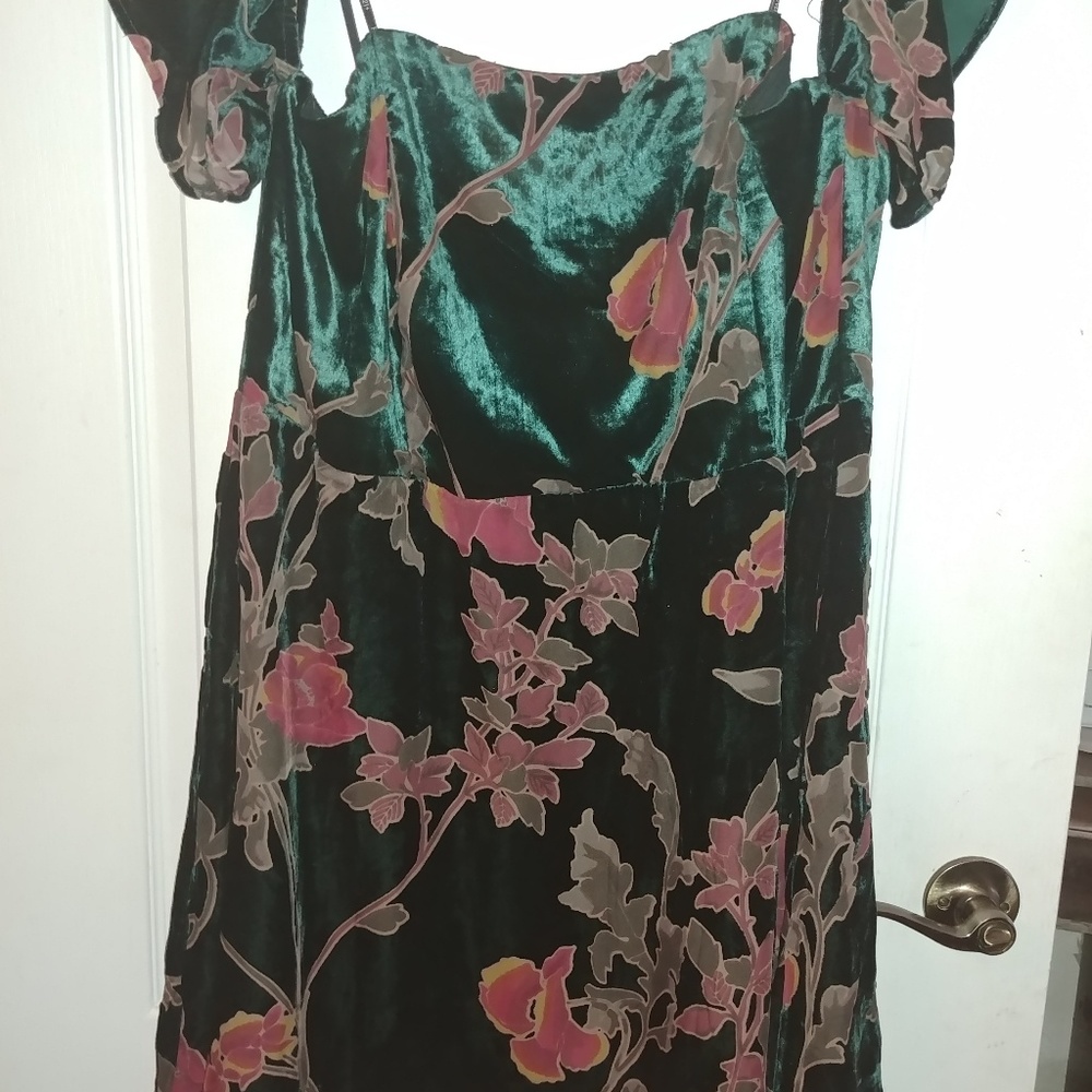 Velvet Green Dress (Never Worn)